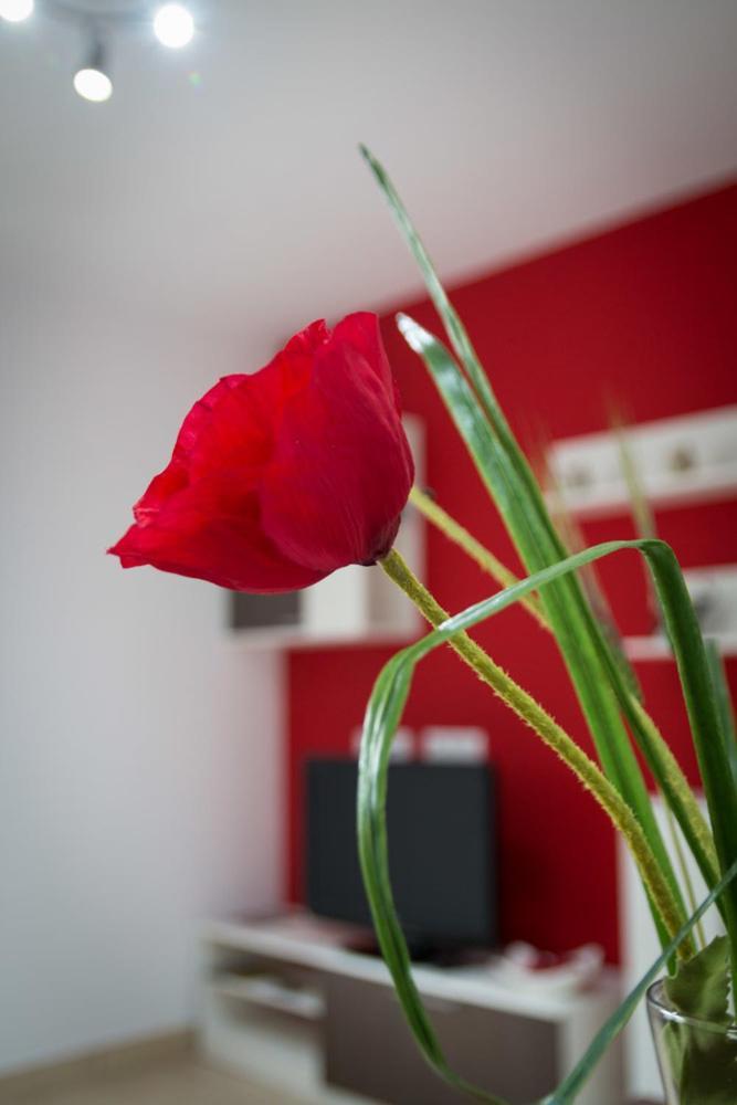 Apartament Baga Ngoại thất bức ảnh