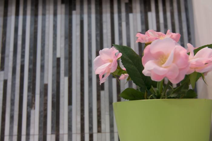Apartament Baga Phòng bức ảnh